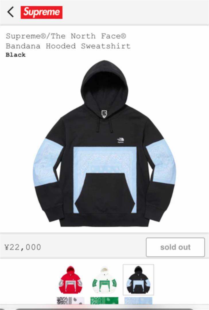 Supreme The North Face Bandana Hooded