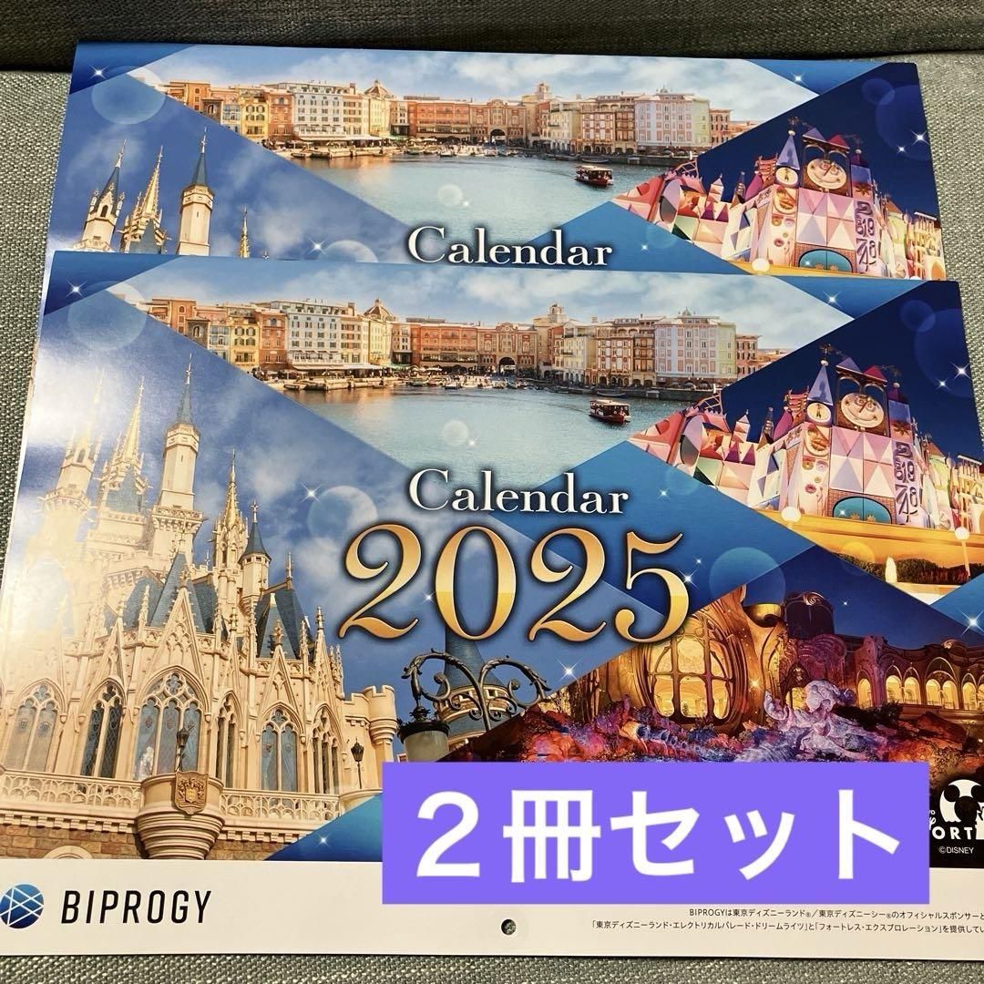 2025年ディズニー カレンダー２冊セット