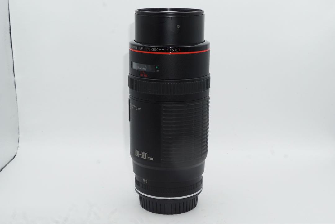 EF100-300mm f5.6 L