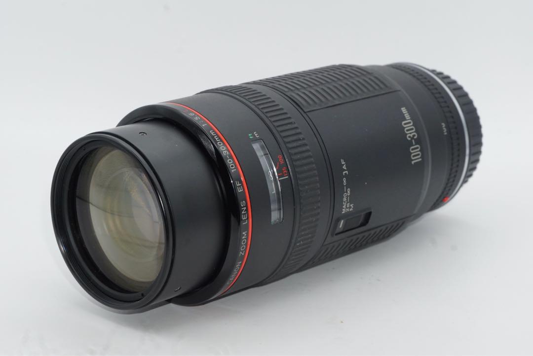 EF100-300mm f5.6 L