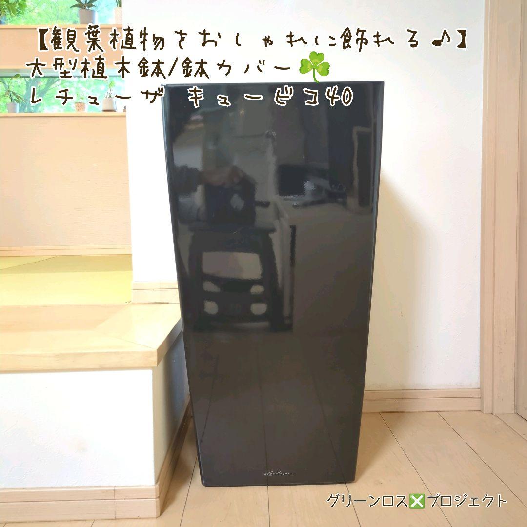 【観葉植物をおしゃれに飾れる♪】大型植木鉢/鉢カバー☘️レチューザキュービコ40その他観葉植物