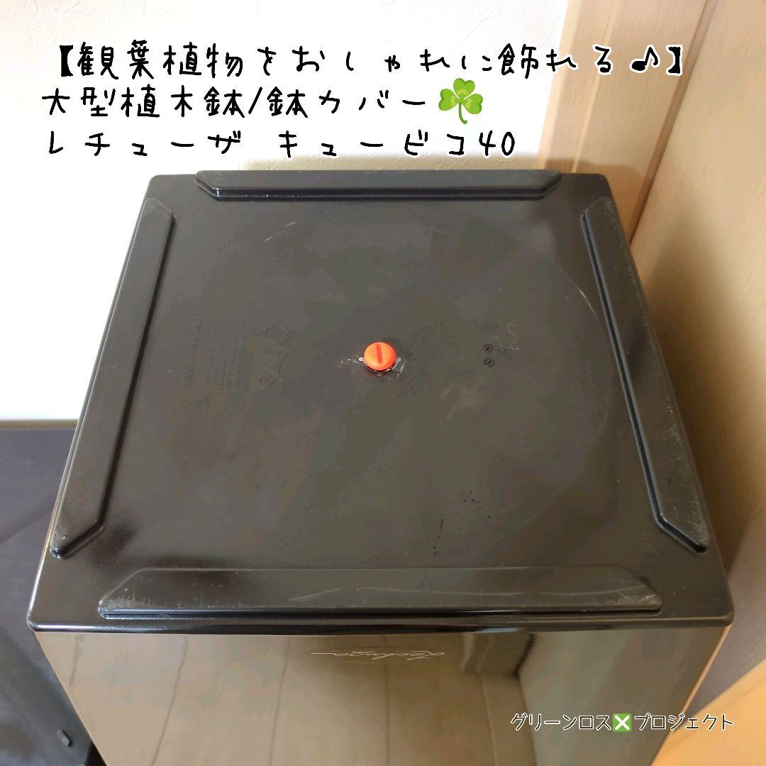 【観葉植物をおしゃれに飾れる♪】大型植木鉢/鉢カバー☘️レチューザキュービコ40