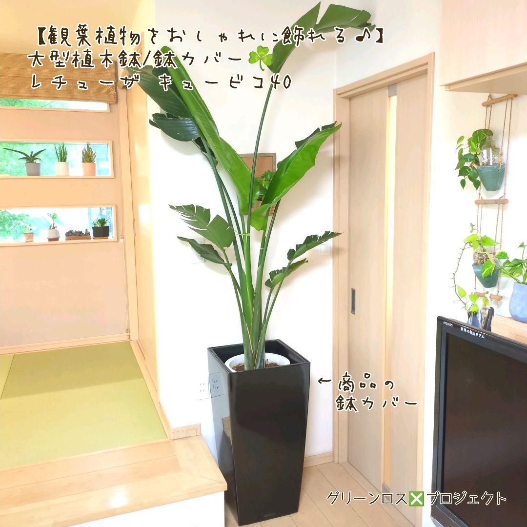 【観葉植物をおしゃれに飾れる♪】大型植木鉢/鉢カバー☘️レチューザキュービコ40