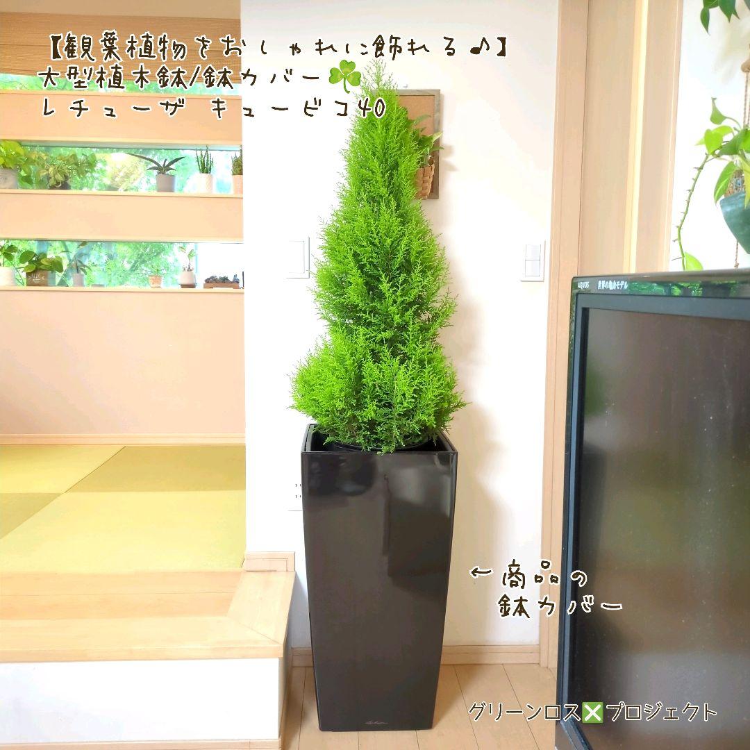 【観葉植物をおしゃれに飾れる♪】大型植木鉢/鉢カバー☘️レチューザキュービコ40