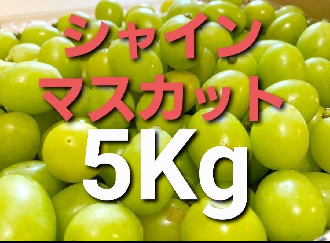15-54 シャインマスカットA品 5Kg バラ売り