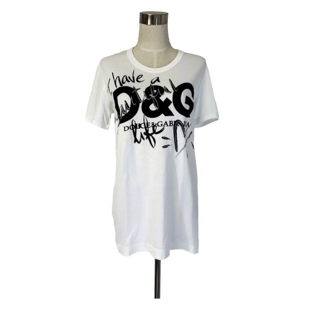 DOLCE&GABBANA 美しい人生♡ ビッグロゴTシャツ - メルカリ