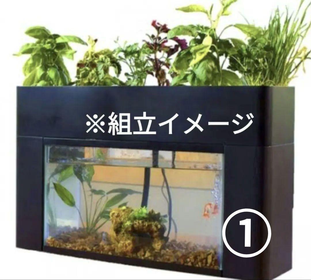 アクアポニックス　水耕栽培　アクアスプラウトSV 〜 おさかな畑 〜 　黒