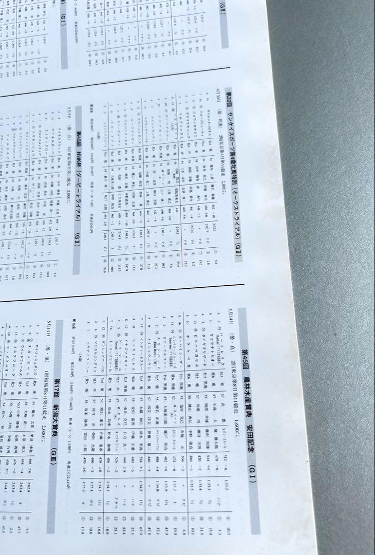 中央競馬LD年鑑 1995年度 マヤノトップガン レーザーディスク