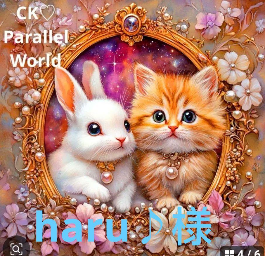 242 ☆オーダーページ☆ハンカチ ウサギ ネコちゃん柄5/13