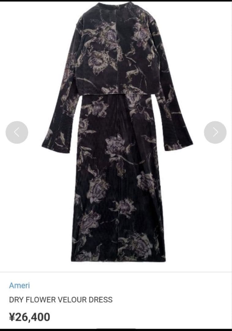 Ameri DRY FLOWER VELOUR DRESS Ameri DRY FLOWER VELOUR DRESS