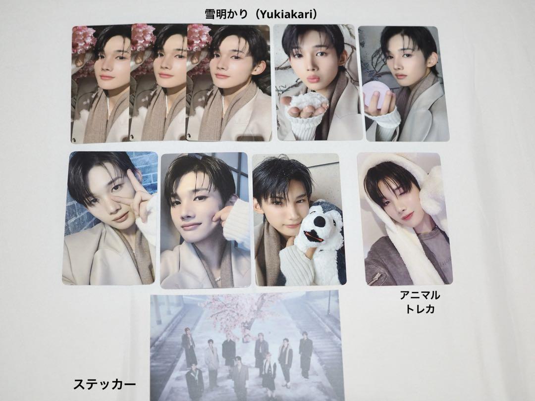 &TEAM ジョウ　WE 〜 月狼トレカ　まとめ売り