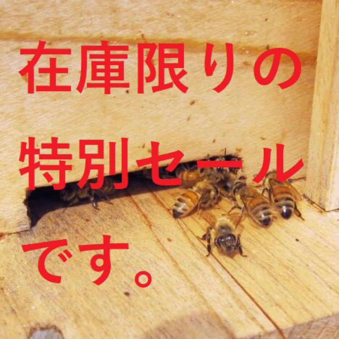 セール【非加熱・生はちみつ】4種セット・500g×4（4本）