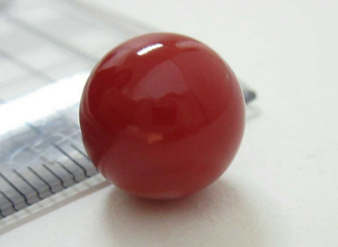 血赤珊瑚 サンゴ 11.58mm 片穴ルース 2.13g 充填有 h378a