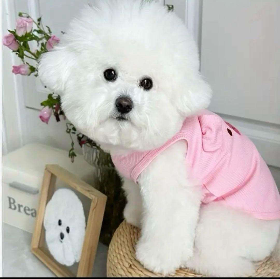 犬の服 犬服 タンクトップ ぶたさん サイズ XL カラー ピンク