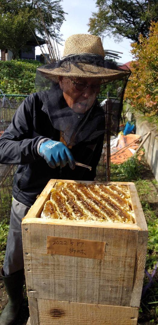 「みんみんさま専用」純粋　日本ミツバチの百花蜜（2年物新蜜）550ｇ✕2本