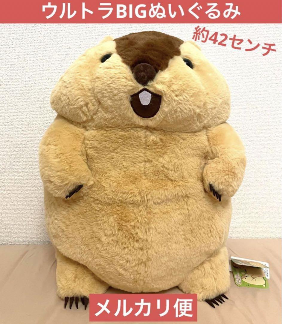 マーモットのもっとっと ウルトラBIG ぬいぐるみ　2個セット