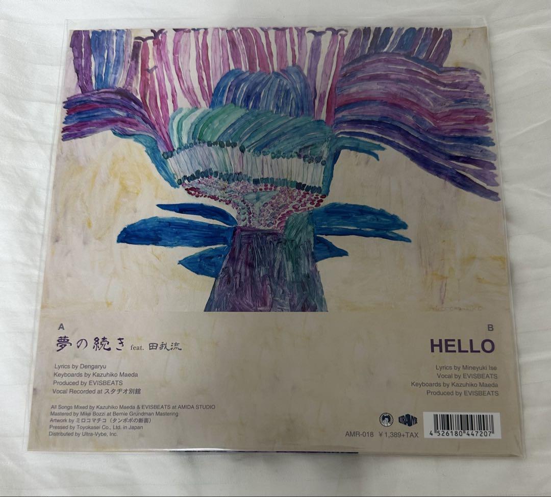 EVISBEATS 夢の続き 田我流 7inch レコード アナログ盤 - メルカリ