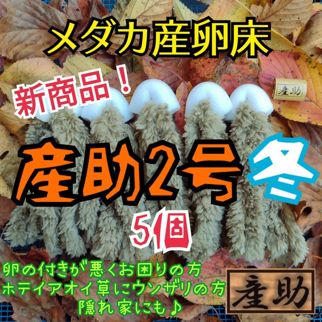 メダカ産卵床 10 産助 さんすけ 2号 冬 組立 メダカ産卵床 10 産助 さんすけ 2号 冬 組立