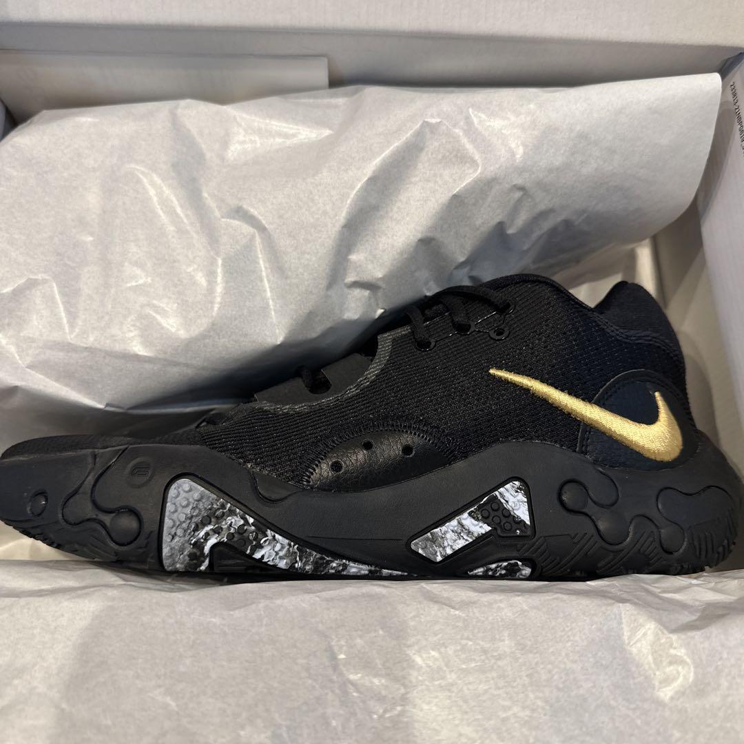 Nike PG6 Black/Peach Cream/CelestineBlue シューズ(男性用)
