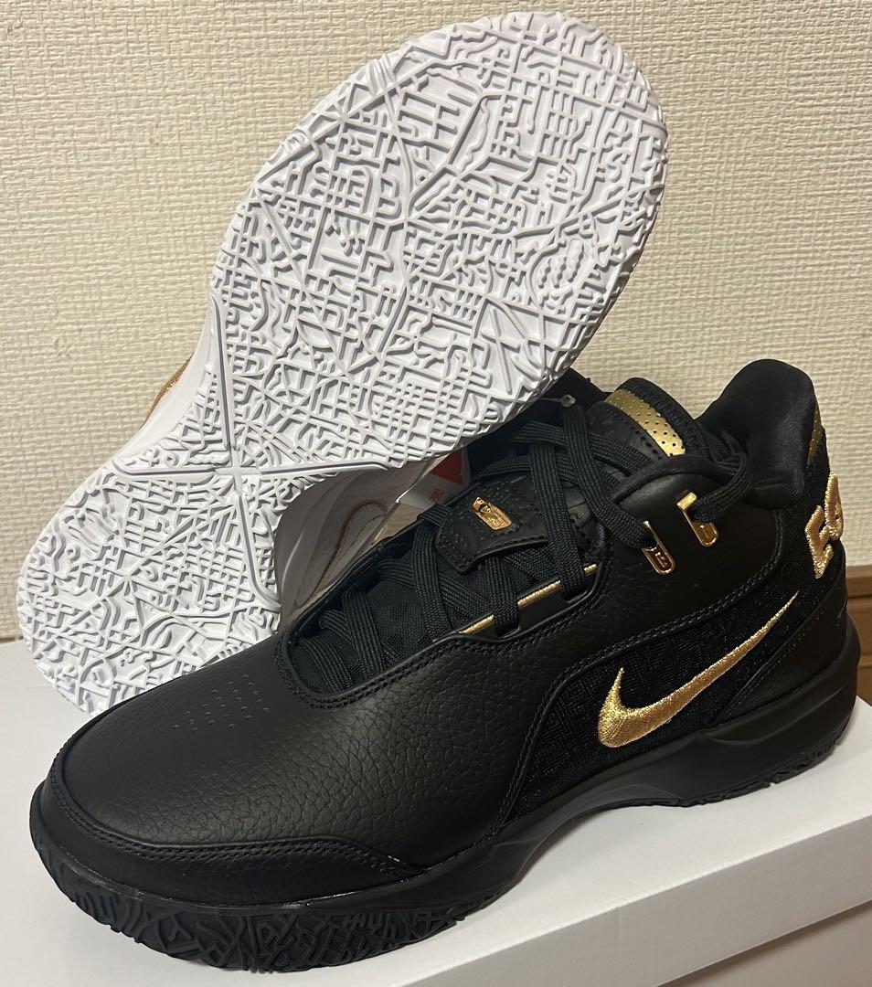 【値下げ不可】26.0㎝ Nike LeBron NXXT Gen