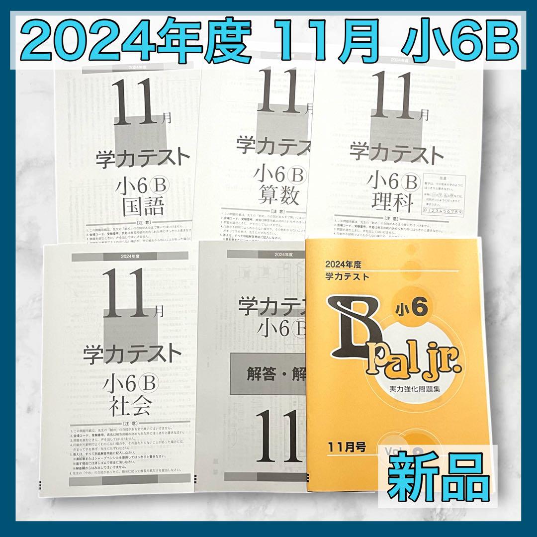 2024年度 小6 学力テスト 4科目 6回分 育伸社 2024年度 小6 学力テスト 4科目 6回分 育伸社