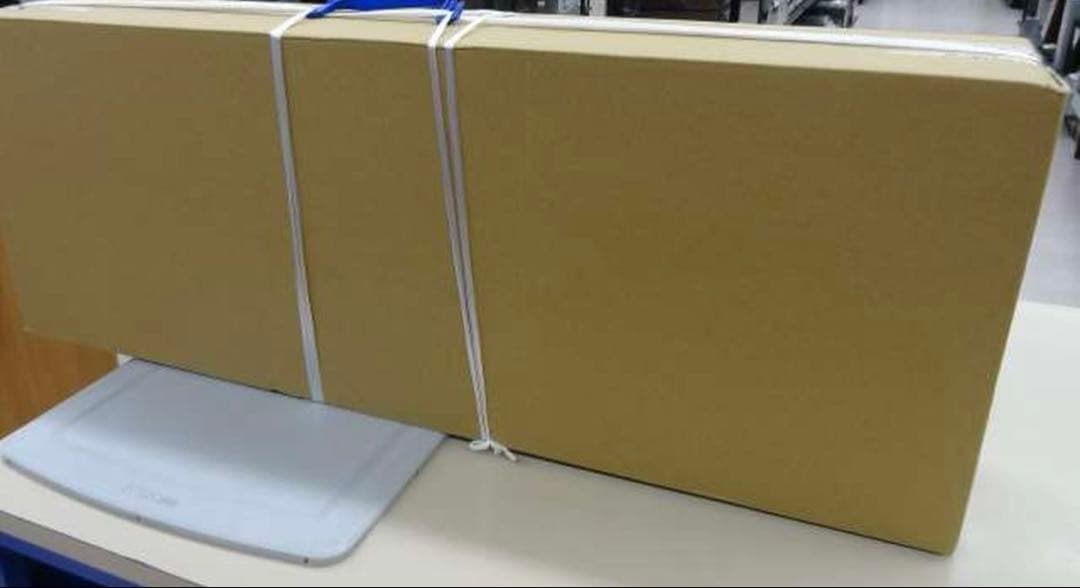 ダイソン　掃除機　sv50ff