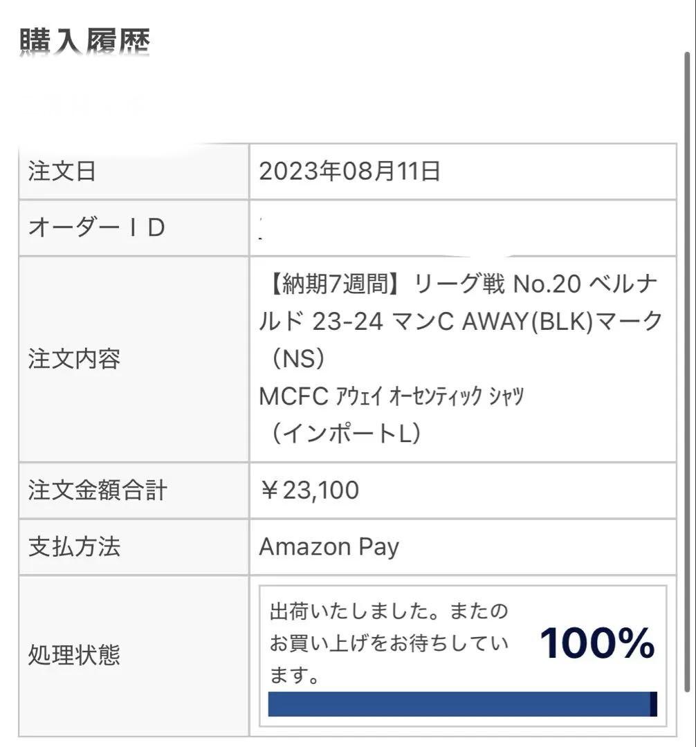 23-24マンチェスターシティ アウェイ オーセンティックユニフォーム