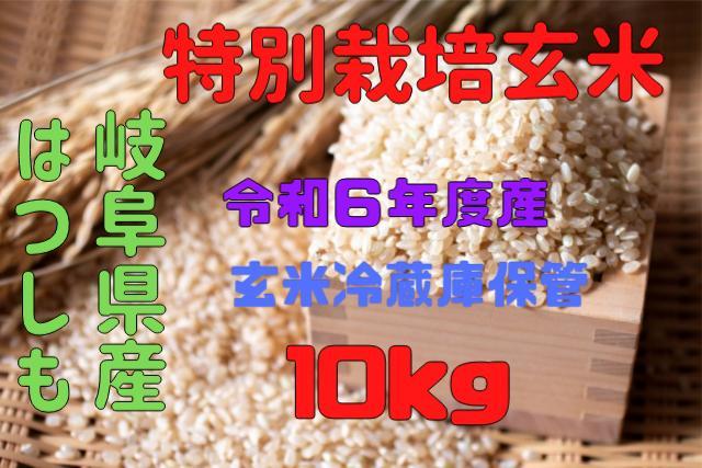 ハツシモ10k（精米） Amazon.co.jp: 【先行予約】R7年産 特選米 ハツシモ 精米 10kg