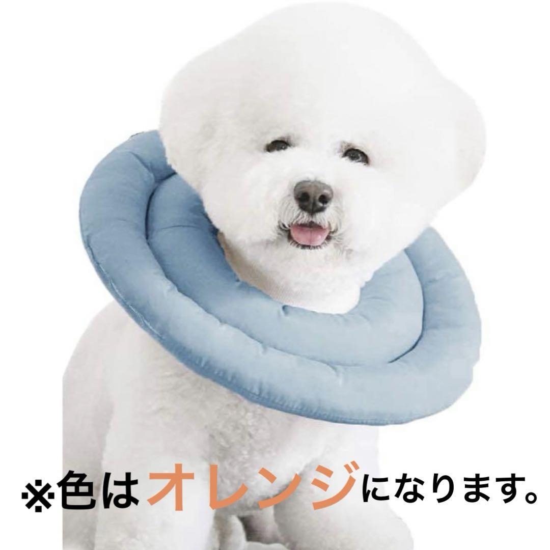 ☢ エリザベス