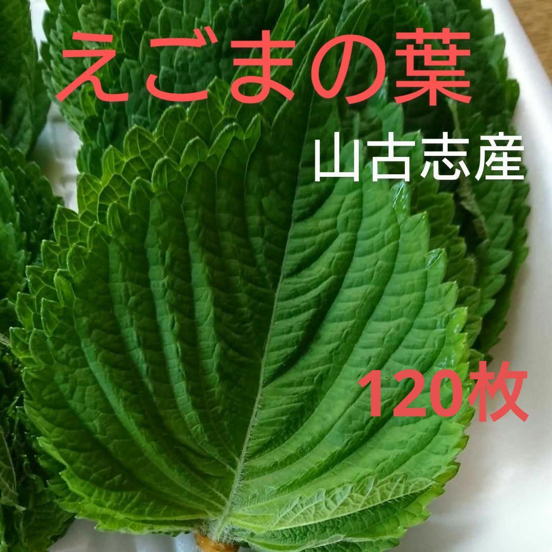 ④えごまの葉、新潟産、120枚 - メルカリ