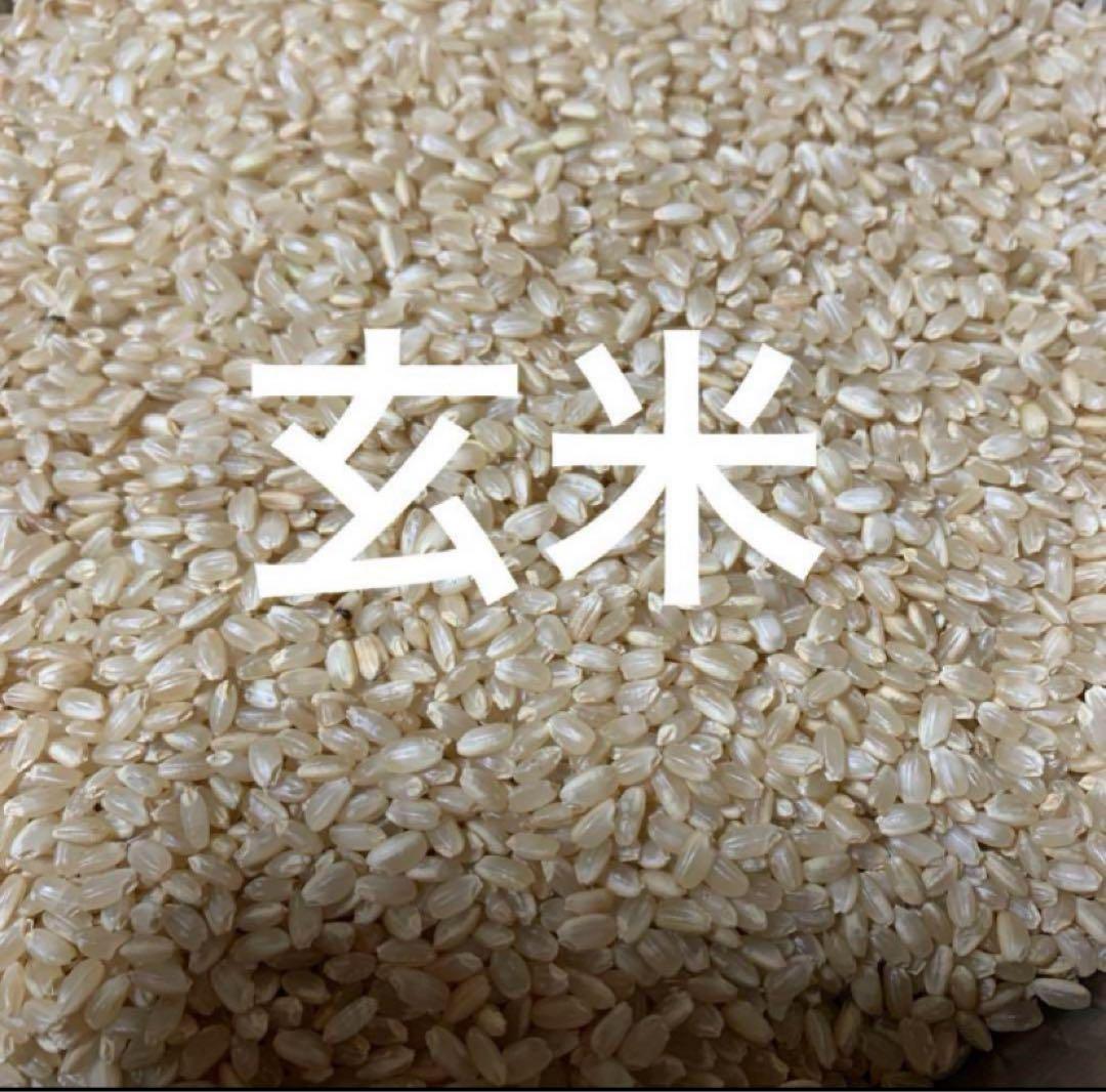 ✴️【生産者直送】令和6年産 新米 和歌山県産 ひのひかり 玄米 20kg