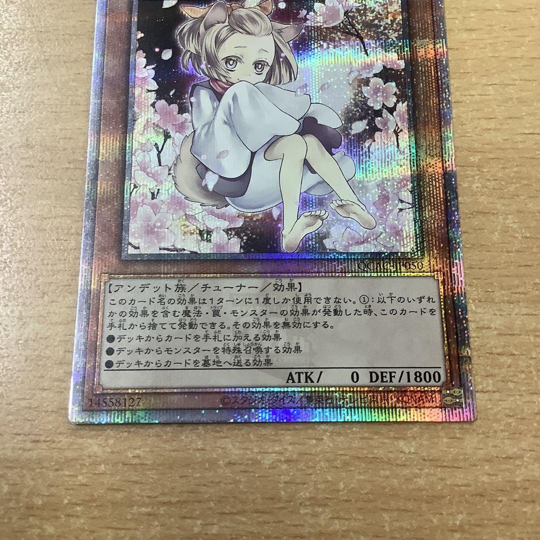 遊戯王 灰流うらら クオシク 25thシークレット QCAC ローダー