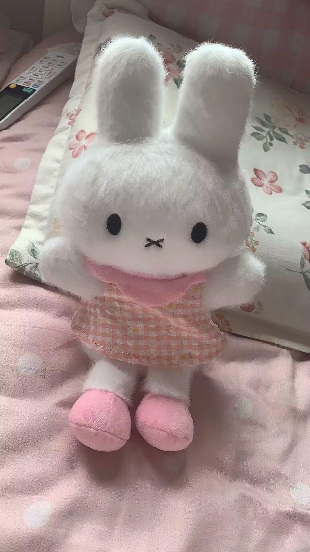 うさぎの花嫁ピンクウェディングドレス&花婿スーツのセット