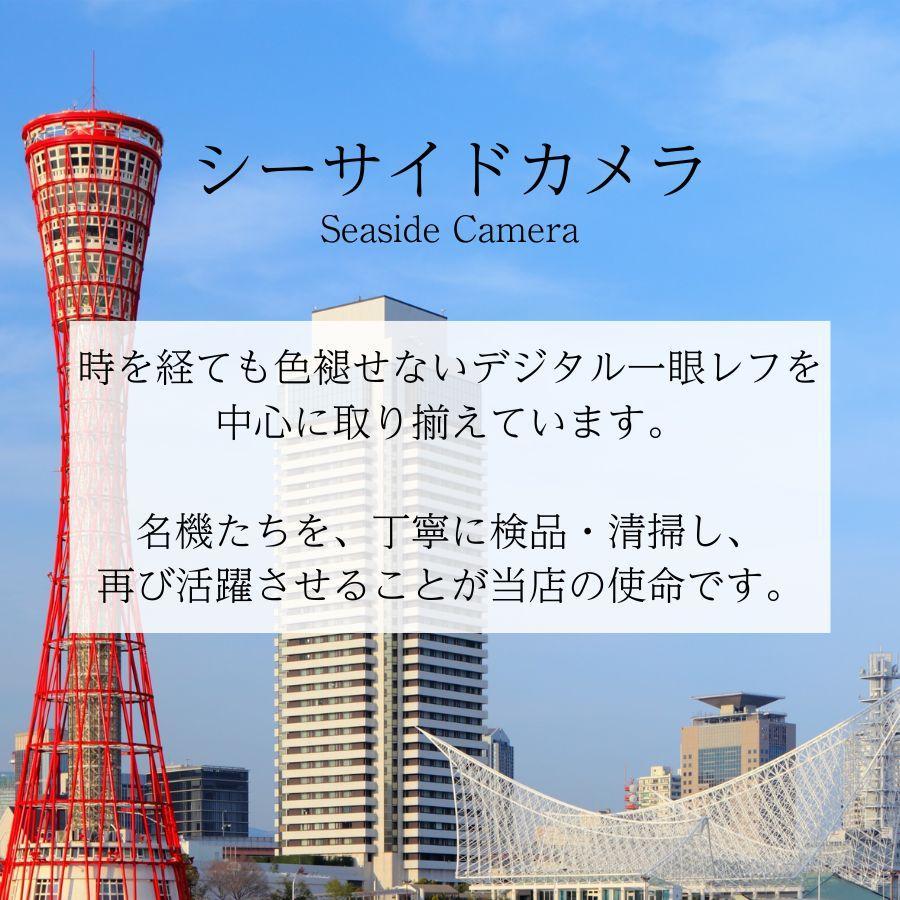 Nikon D300s シャッター回数14,033枚 ｜Q049
