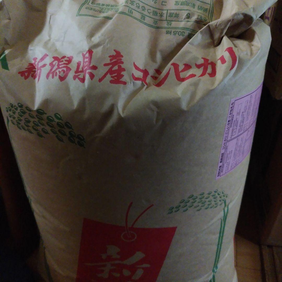 令和5年度産 新潟県産 コシヒカリ玄米 20kg