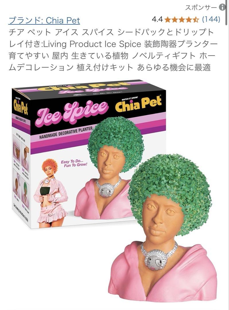 Ice Spice Chia Petの植木鉢