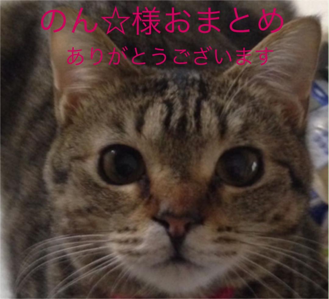 レジンヘアゴム、のん☆様おまとめ確認用
