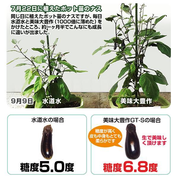 植物活力液 美味大豊作GT-S ２０リットル 作物が早く大きく育ち収穫量も増加！