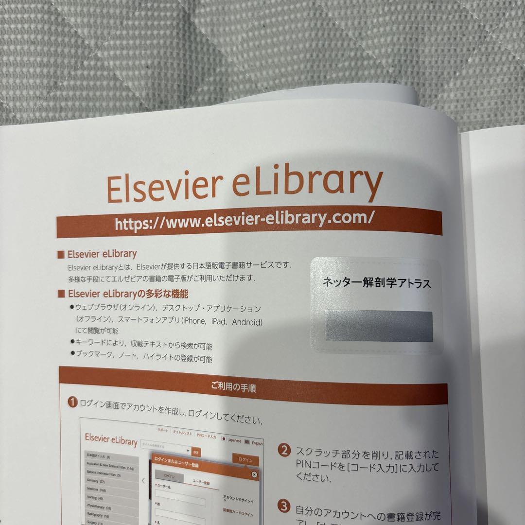 ネッター解剖学アトラス　第7版
