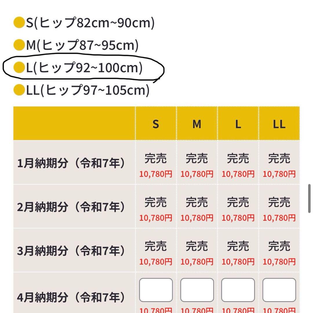 FITKEEP2(フィットキープ)骨盤ベルト 新品未使用