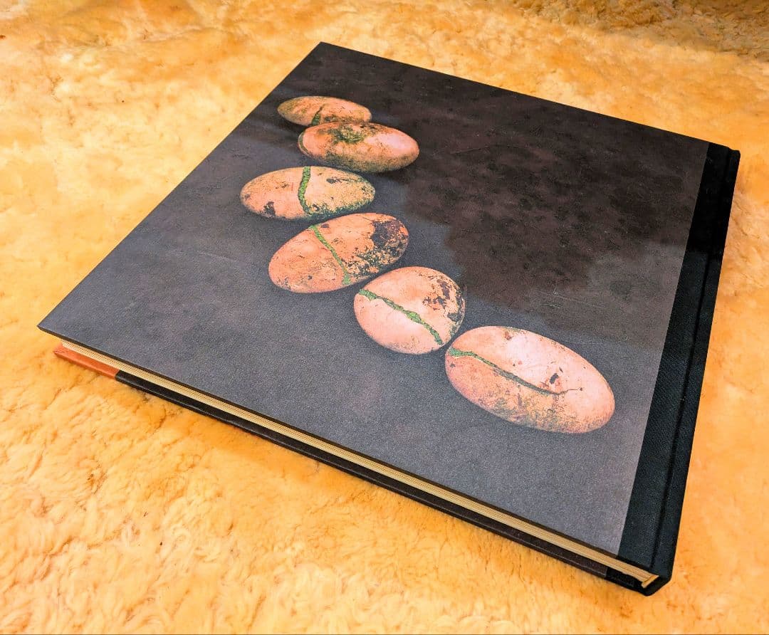 ダニエル・オスト　第3作目作品集　　 ☆ダニエル・オスト 第3作目 作品集☆定価32400円☆フラワーアレンジメント