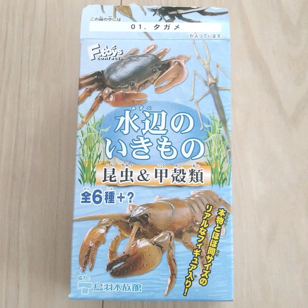 メルカリ エフトイズ 水辺のいきもの 昆虫 甲殻類 タガメ フィギュア 3 990 中古や未使用のフリマ メルカリ エフトイズ 水辺のいきもの 昆虫 甲殻類 タガメ フィギュア 3 990 中古や未使用のフリマ