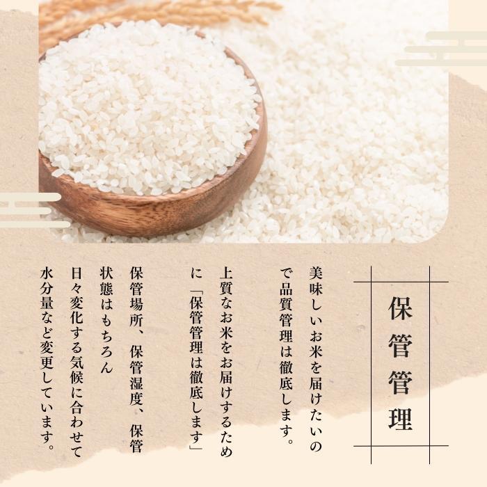 新米】10kg 令和6年産 新潟産 こしひかり白米 ブレンド米 送料無料