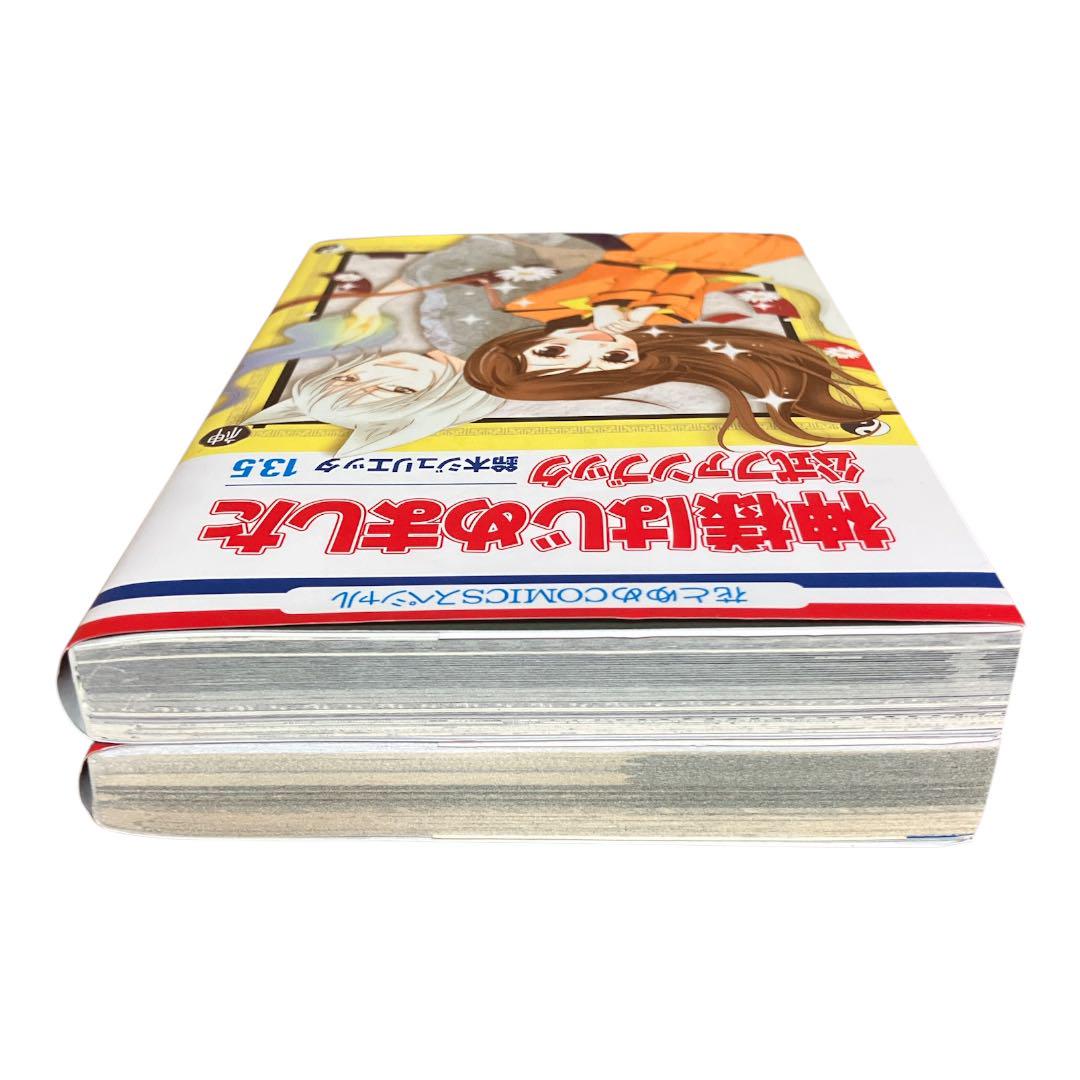 神様はじめました 公式ファンブック 13.5巻 25.5巻 2冊セット