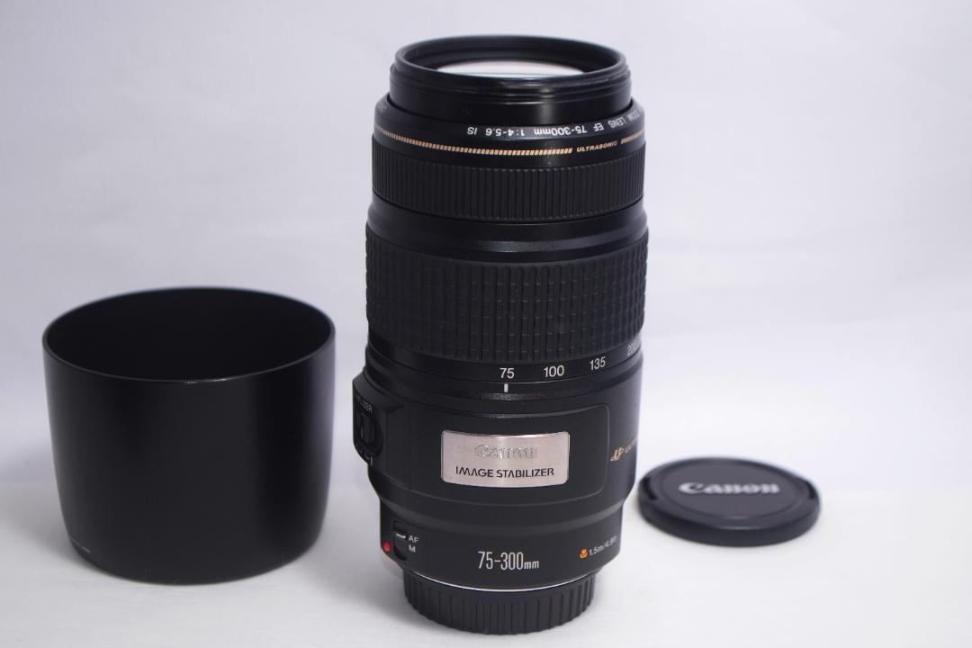 ❤️安心の手ぶれ補正内蔵❤️Canon EF 75-300mm IS USM❤️ www