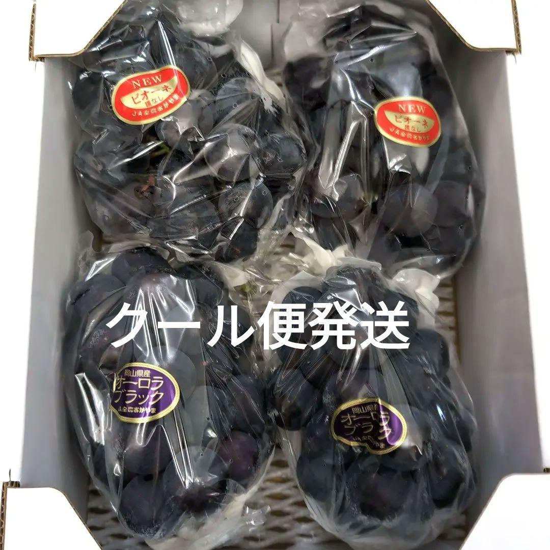 岡山県産ぶどう詰め合わせ