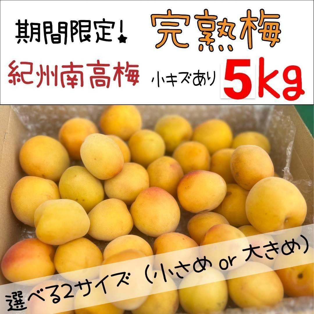 【6月限定！5kg】とれたて完熟梅 紀州南高梅
