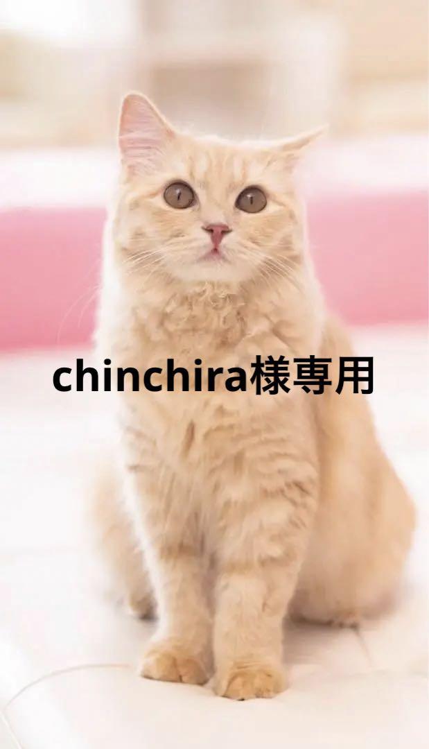 ノベルティ　ルイヴィトン　バック