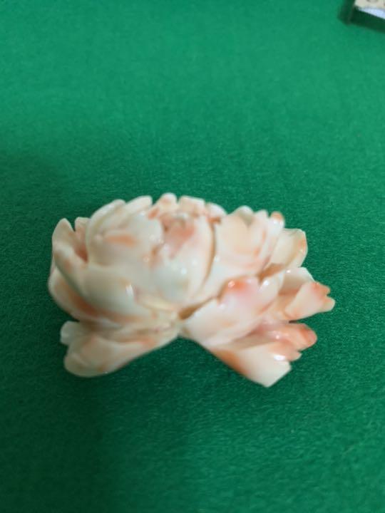 珊瑚 帯留