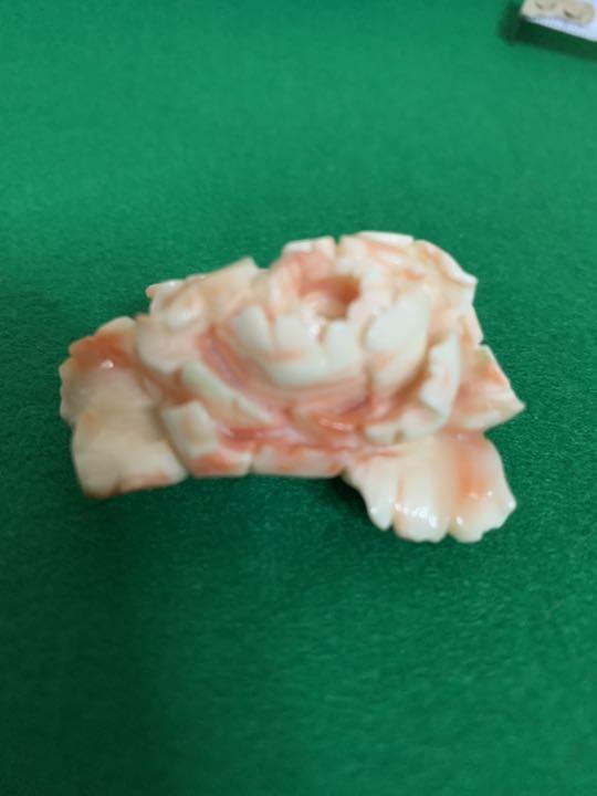 珊瑚 帯留